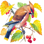 őszi állatok_6.gif